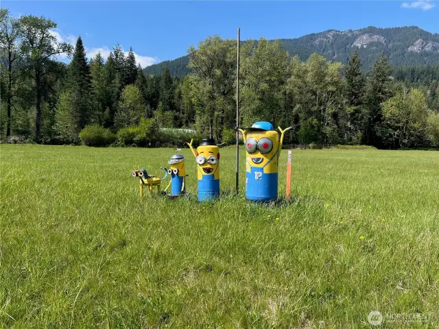 Minion family in the field