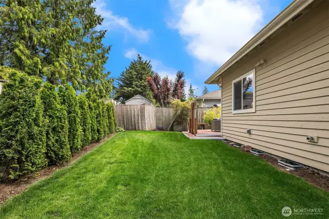 Recently redesigned backyard!