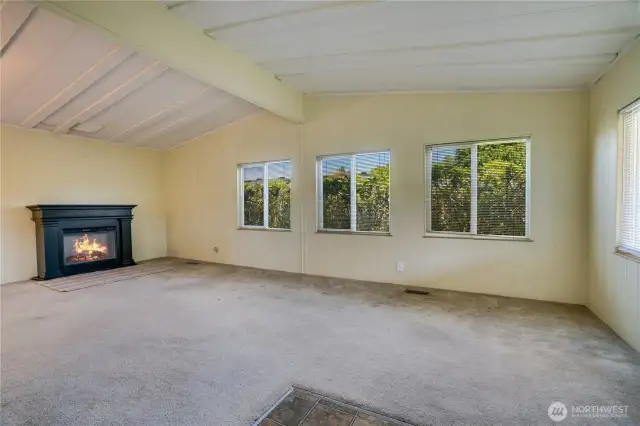 This home needs a little cosmetic updating, but the bones are solid. The fireplace is electric and able to me moved if needed. New carpet and paint would make a big difference!