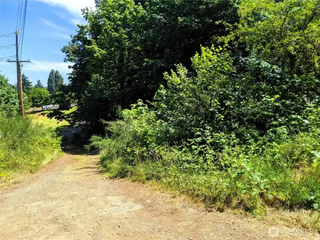 Path coming in from parking area to. Picture taken above NW corner