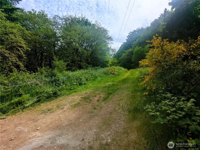 Easement road for power line to back of property