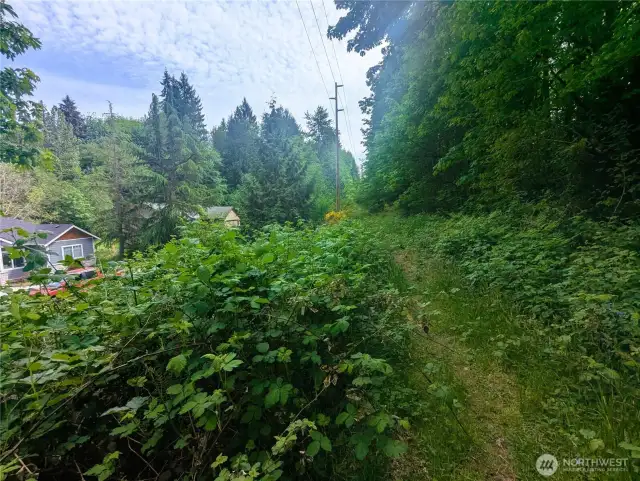 Looking at neighboring property down back power company easement