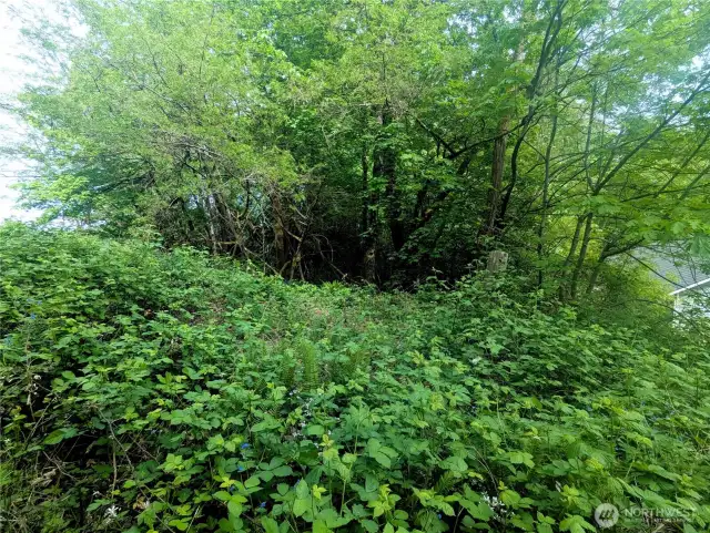SW corner fence post to right in picture.
