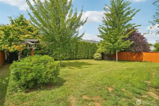 spacious back yard