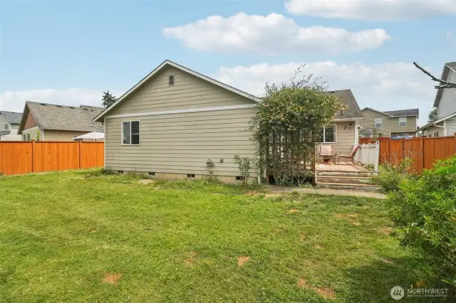back yard
