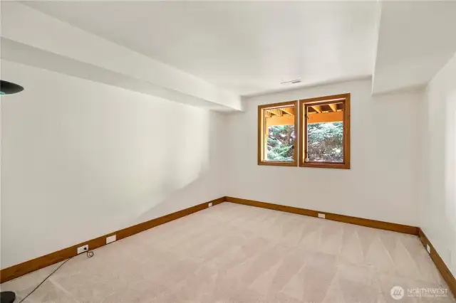 5th Bedroom on lower level