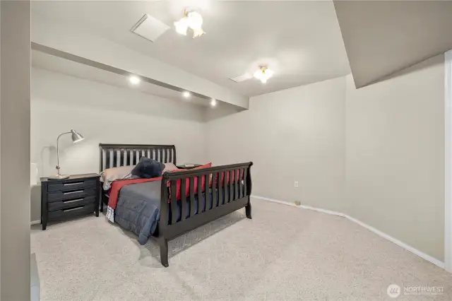 Lower level bedroom