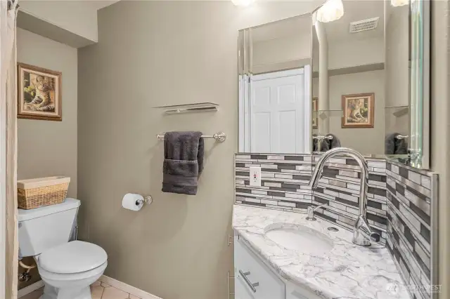 Lower level bathroom