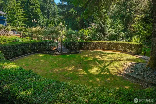 Lower level backyard