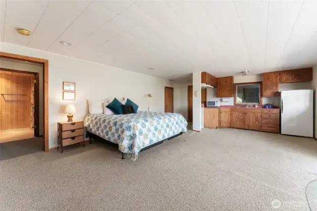 Downstairs Bedroom/ Bonus Room