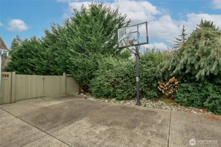 Basketball hoop in driveway