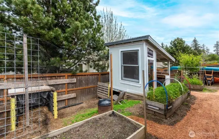 Garden with raised beds