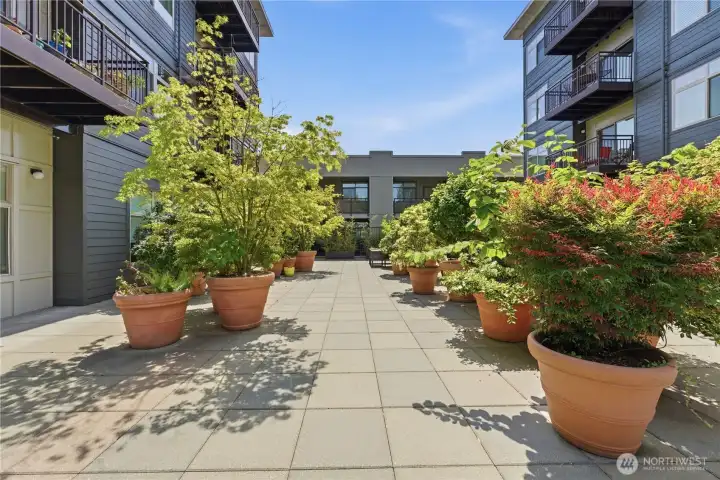 Beautifully landscaped Tavona courtyard with mature plantings and wide walkways