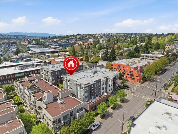 Bird’s-eye view of Tavona and its surrounding community
