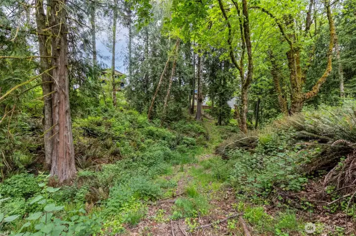 Property slopes in the back towards a seasonal creek.