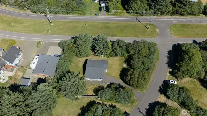 ~Arial View~ ~Arial View~
