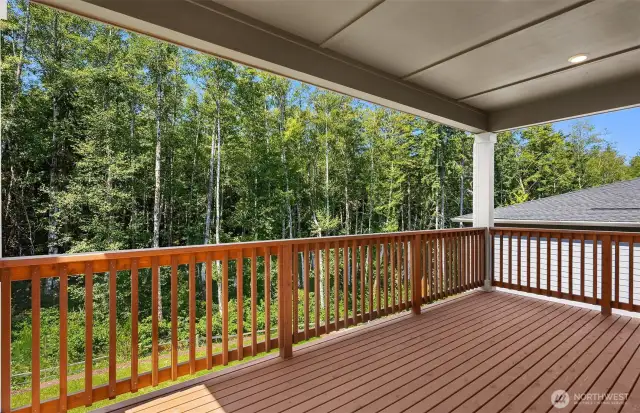Large Coverd Deck