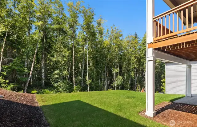 Back yard