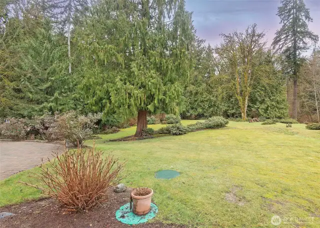 Privacy in a back yard oasis.