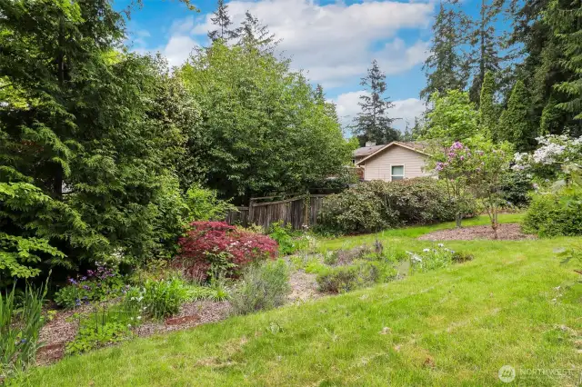 Beautiful meandering path through garden in backyard.