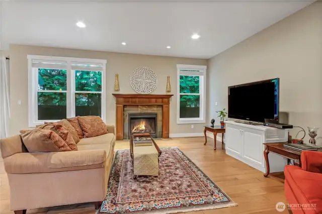Gas fireplace.