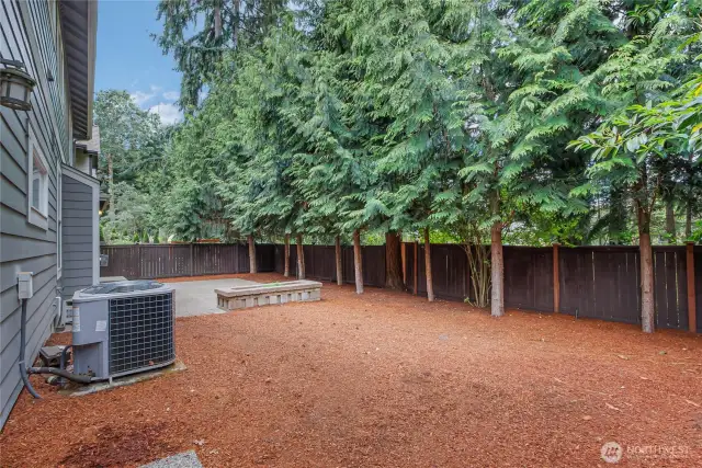 Low maintenance backyard