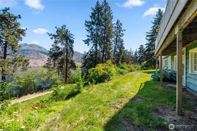 Most of the trees are on this property, and there are no restrictions on removal if that's something a new owner would prefer.