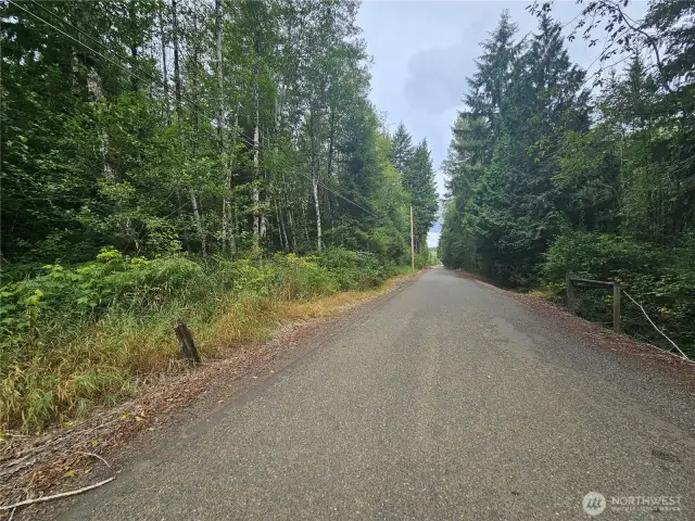 Looking North on Upper Falls Creek Rd