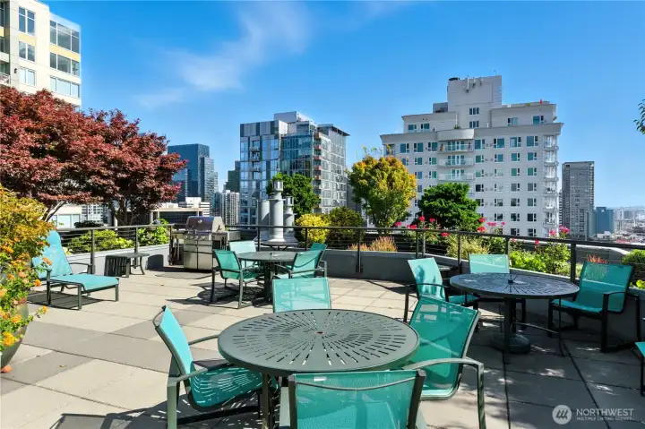 You can see plenty of comfortable seating & BBQs to enjoy the views from the rooftop garden.