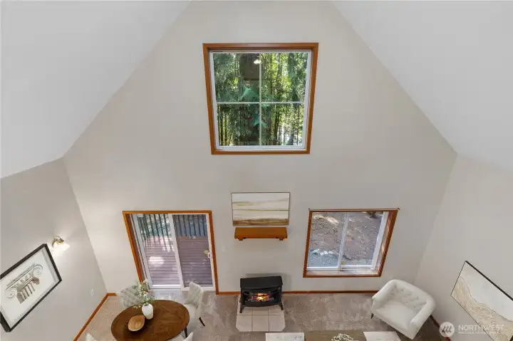 A look from up above - with treetop views of Lake Bosworth.
