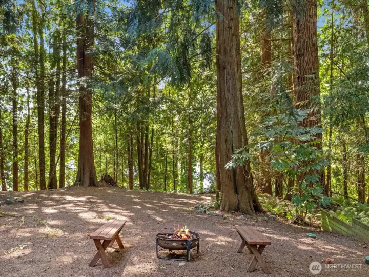 Gather with friends around the firepit as twilight settles in, roast marshmallows, or tell stories under the stars.