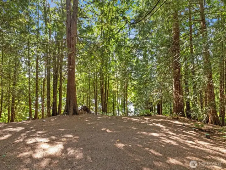 For outdoor adventures, the nearby boat launch gives you direct access to Lake Bosworth, where you can spend afternoons fishing, paddling, or simply cruising along the shoreline while the sun sparkles on the water.