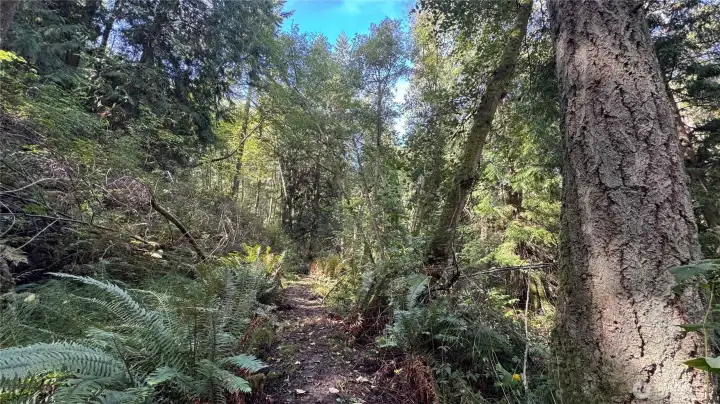 Lovely walking path to the upper level of the property