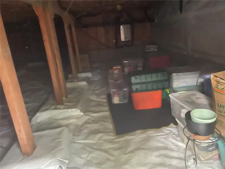 Lots of storage in crawl space