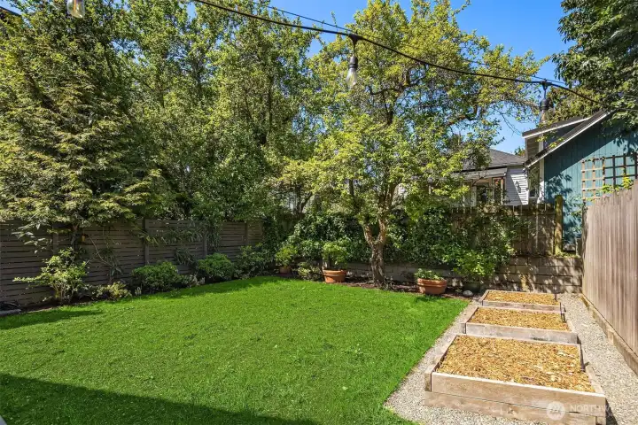 The grass isn't quite this lush as it was just reseeded, but it WILL be.