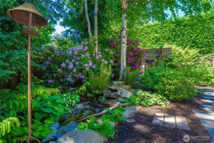 Stepping stones take you around a stunning and lush backyard filled with greenery and a custom water feature.