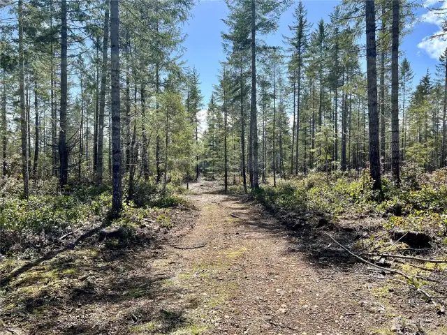 one of the many easy access trails on the property.