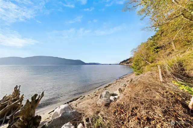 Sandy beach stretches for miles.  No neighbors to the north for miles, either.  Anyone up for beachcombing?  Treasure is whatever you say it is.