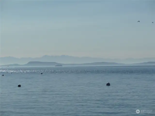 On a hazy day, you can still see Lopez Island, the Washington State ferries heading down the Straits, and the Olympic Mountain range in the background.