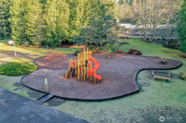 There are many parks throughout the subdivisions in Lake Cushman. Check out LCMC office for a map!