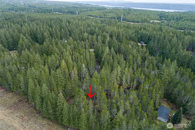 The approximate location of the property among the trees.