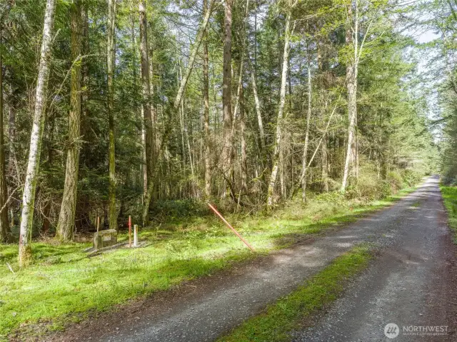 Southeast corner of beautiful 5 acre parcel  in an established neighborhood of like-sized parcels with utilities at lot line.