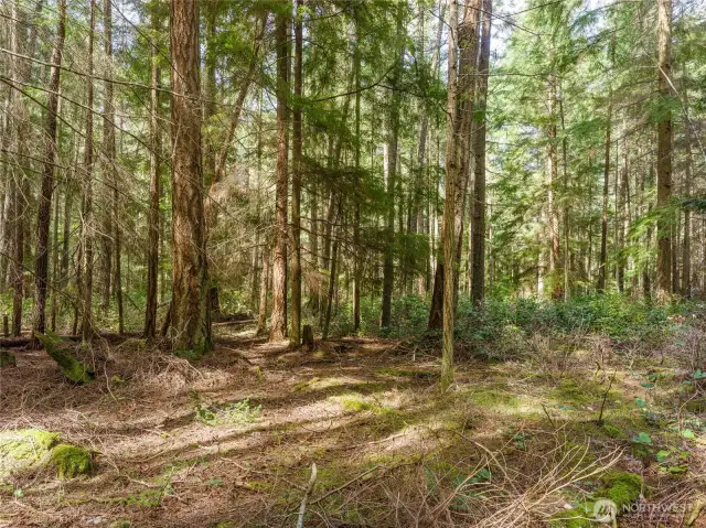 Excellent building site possibilities with plenty of room for sunlight while maintaining privacy.