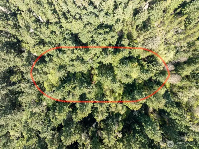 Birdseye view.