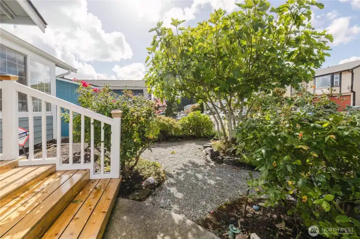 The covered patio with steps into the garden.