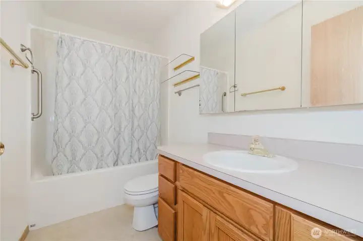 A full bathroom on the lower level.