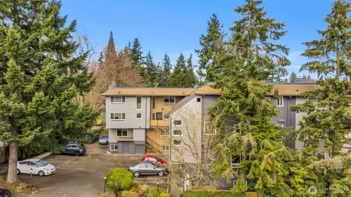 Welcome home to Maison Villa!