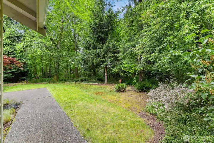 Mature trees for total privacy Mature trees for total privacy
