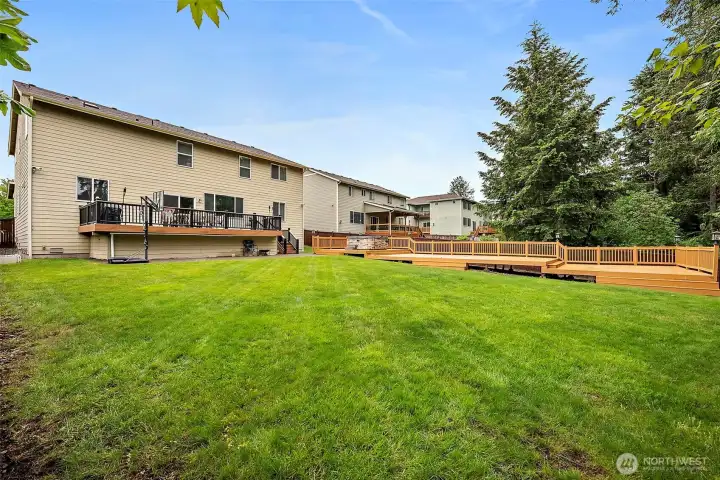 Massive backyard Massive backyard