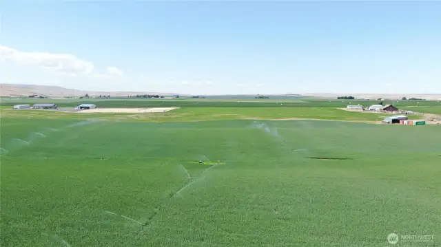 Irrigated Acreage